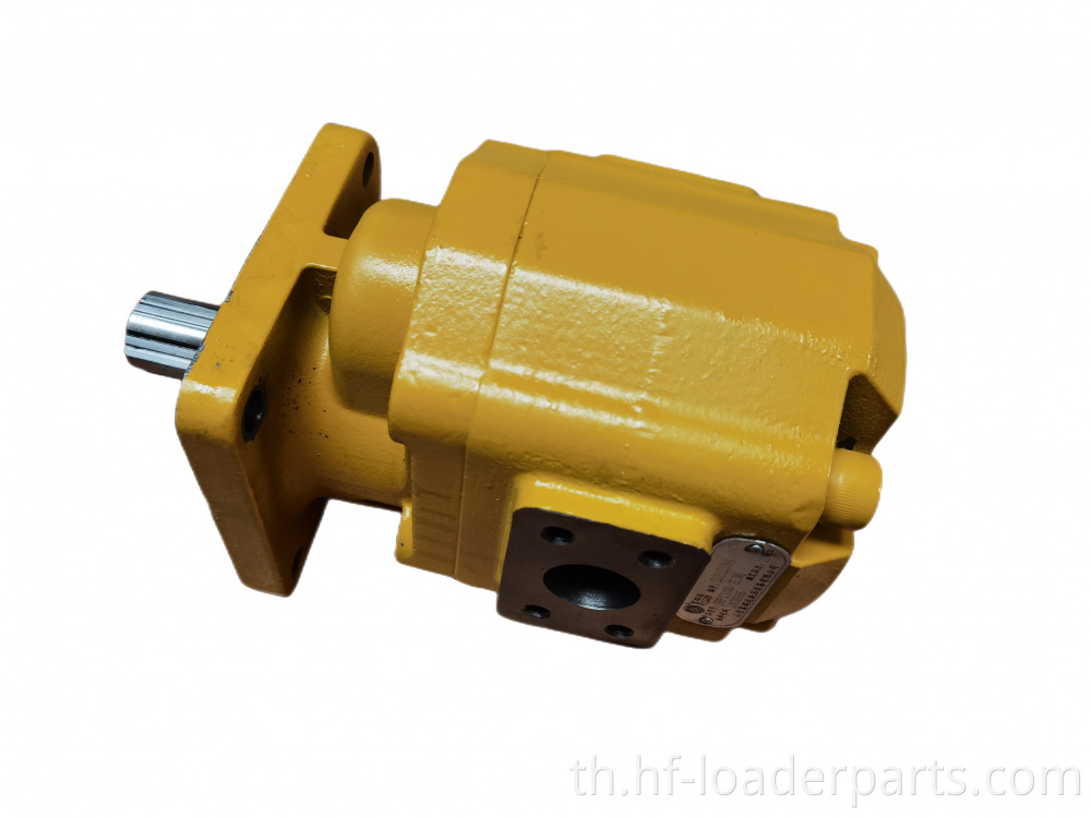 ปั๊มเกียร์ไฮดรอลิก hydraulic gear pump